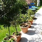 Four Seasons 