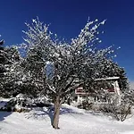 Four Seasons 