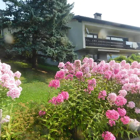 Four Seasons 
