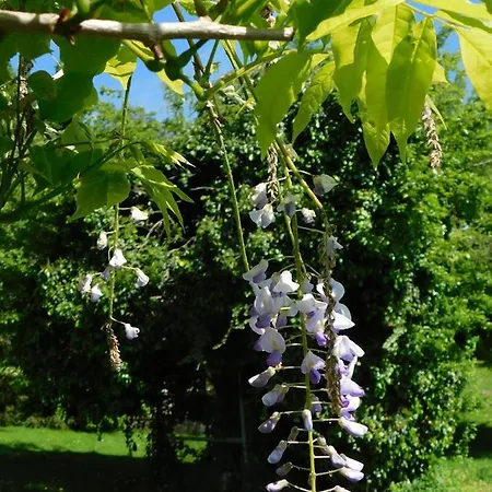 Apartment Four Seasons 