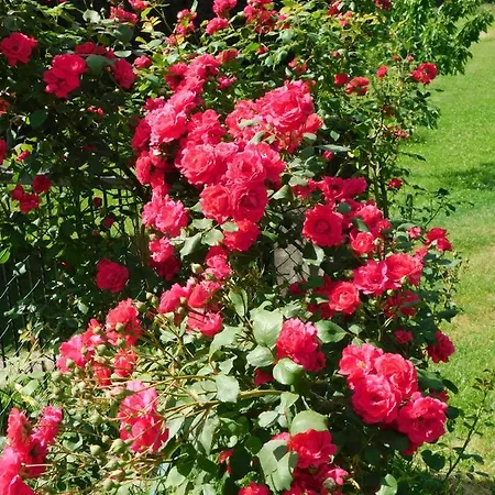 Apartment Four Seasons 