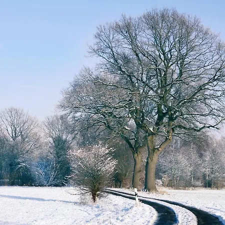 Four Seasons 