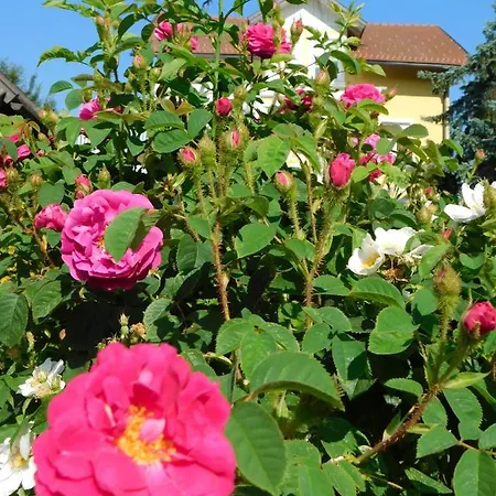 דירה Four Seasons 