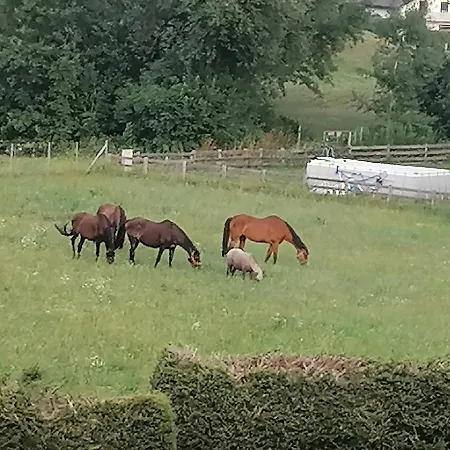 Apartment Four Seasons 