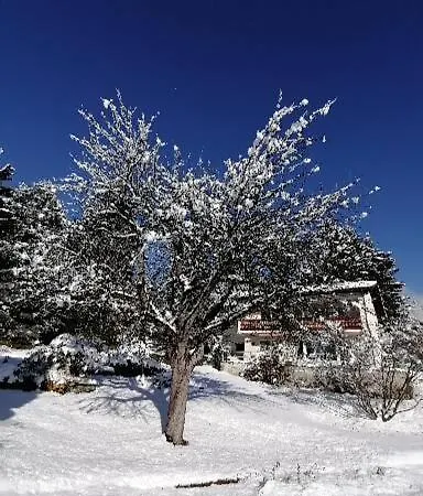 Four Seasons 
