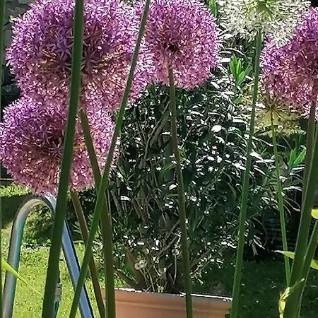 Apartment Four Seasons 