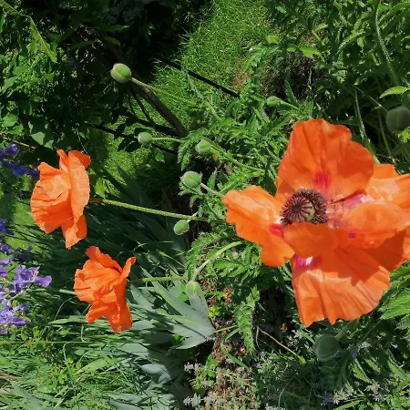 Apartment Four Seasons 