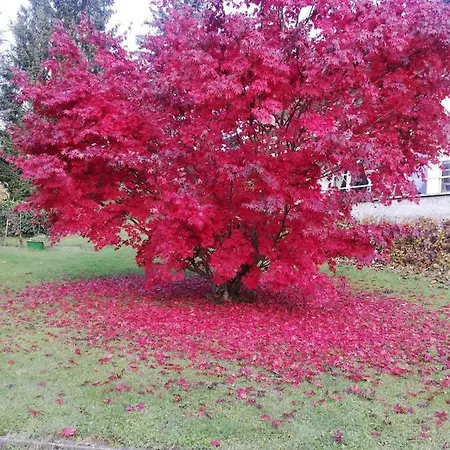 Lejlighed Four Seasons 