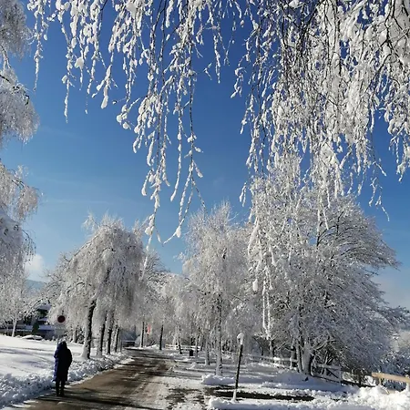Four Seasons 