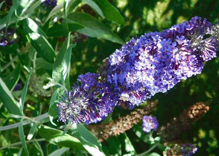 アパート Four Seasons 