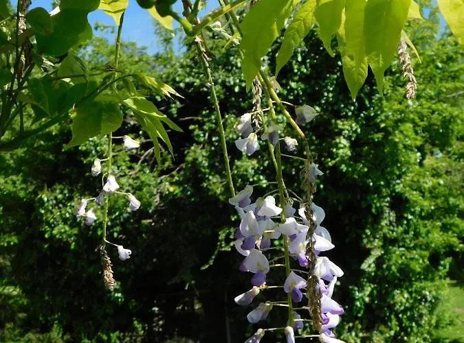 アパート Four Seasons 