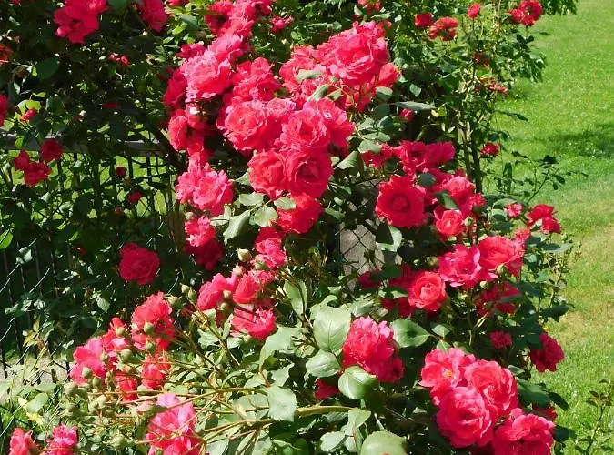 アパート Four Seasons 