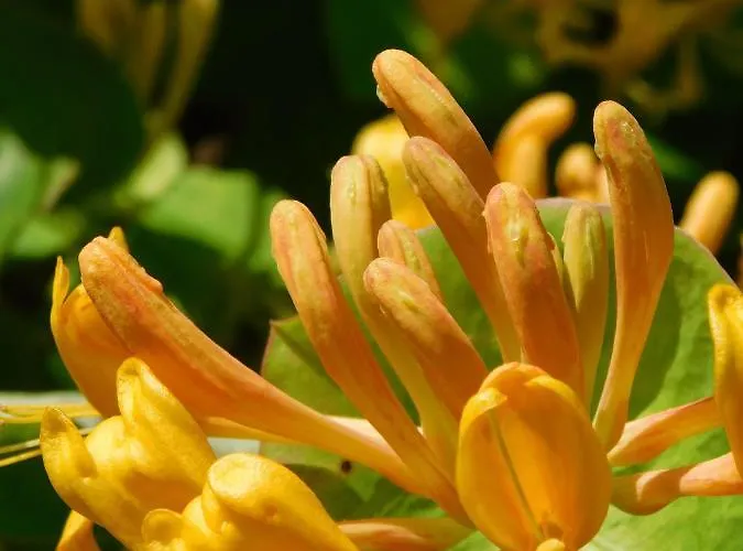 アパート Four Seasons 