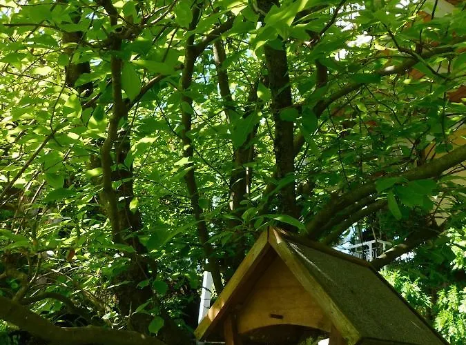 アパート Four Seasons 