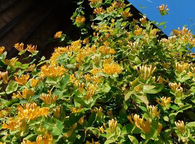 アパート Four Seasons 