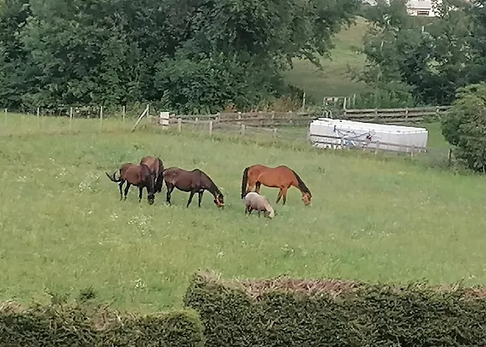 アパート Four Seasons 