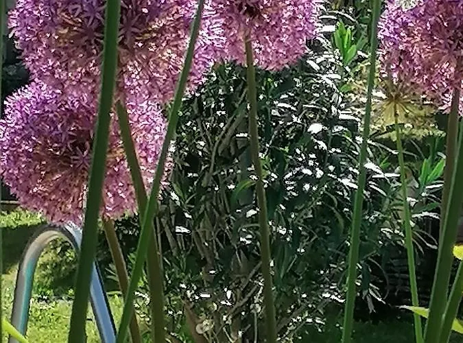 アパート Four Seasons 