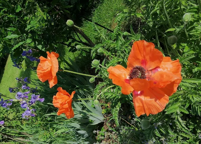 アパート Four Seasons 