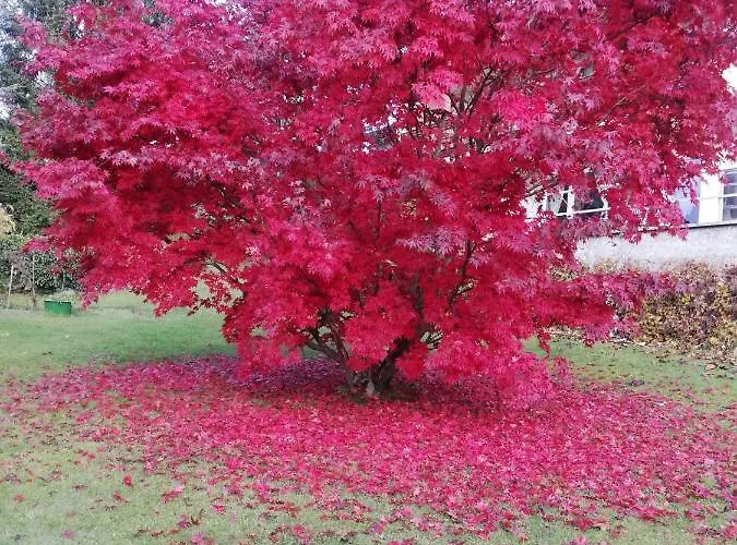 Apartment Four Seasons 